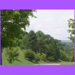 Another View.jpg
